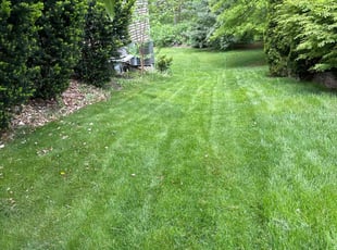 Marcus J.'s turf maintenance service result