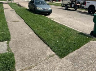 David G.'s grass cutting service result