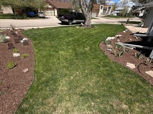 Tina T.'s turf maintenance service result