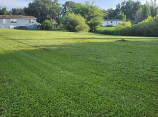 Deborah W.'s lawn service service result
