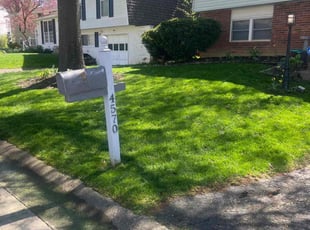 Carolina D.'s lawn care services service result