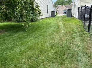 Cristy S.'s grass maintenance service result