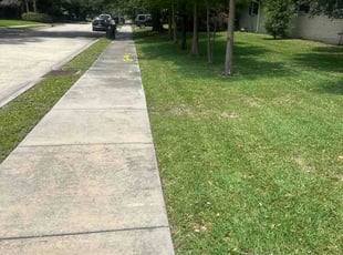 Cheryl E.'s lawn care services service result