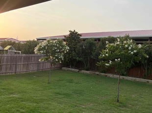 Tom V.'s lawn maintenance service result