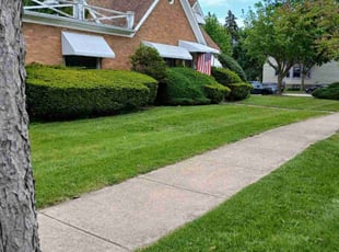 Ramzi A.'s grass maintenance service result