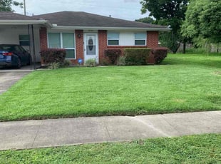 Michael W.'s turf maintenance service result