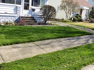 Rhonda H.'s landscape maintenance service result