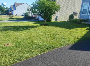Sue M.'s lawn care service result