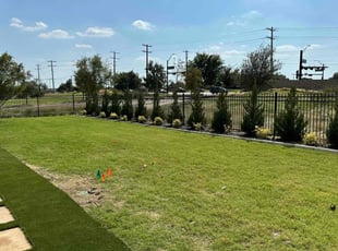 Tammy S.'s turf maintenance service result