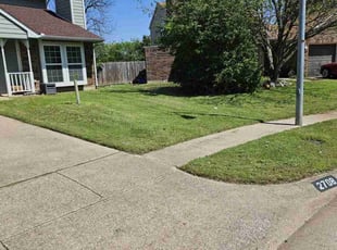 Clarice S.'s grass cutting service result