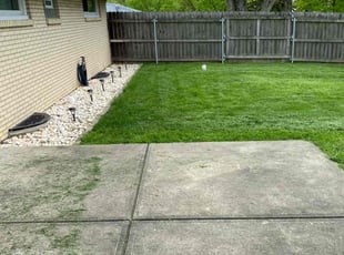 Elizabeth K.'s turf care service result