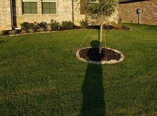 Terry T.'s lawn service service result