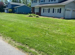 Celestine H.'s grass cutting service result