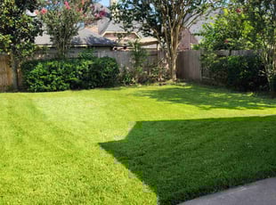 Sable C.'s grass cutting service result
