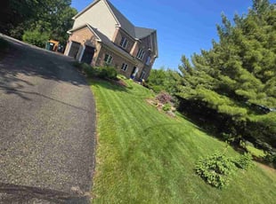 Cassandra B.'s grass cutting service result