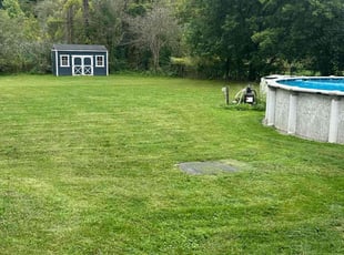 Luanne C.'s lawn service service result