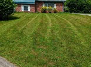 Alaa A.'s turf care service result