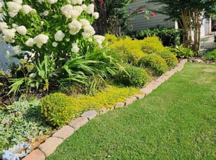 Kaitlyn B.'s Weed Pulling service result