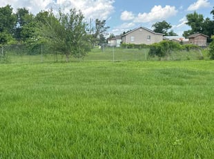 Kenneth C.'s lawn service service result