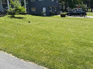 Bryan W.'s lawn service service result