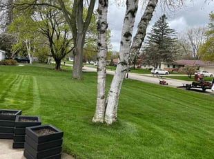 James M.'s lawn maintenance service result