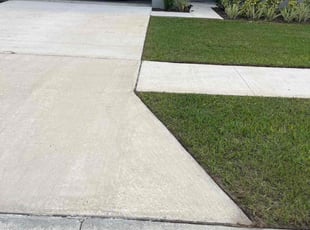 Denise Z.'s grass maintenance service result