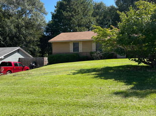 Vanessa P.'s turf care service result