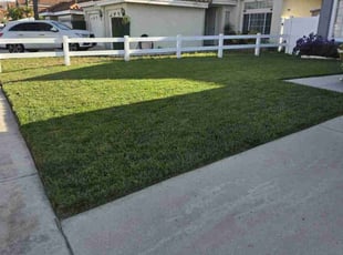 Cynthia T.'s lawn service service result