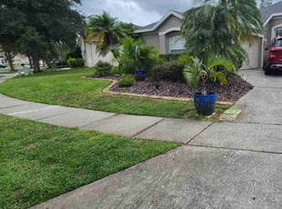 Melanie H.'s turf care service result