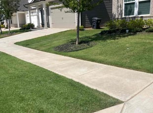 Cynthia W.'s grass maintenance service result