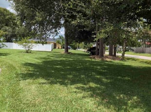 Tonya B.'s lawn maintenance service result