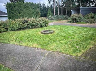 Fernando L.'s grass maintenance service result