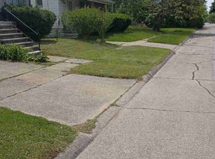 Angelo B.'s lawn care service result