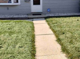 Bonnie L.'s turf care service result