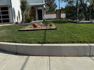 Patricia N.'s grass cutting service result