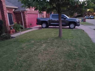 Jessica L.'s grass maintenance service result