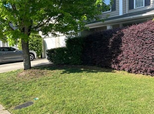 Dennis S.'s gardening service service result