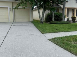 Michael M.'s yard maintenance service result