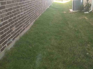 Armando C.'s lawn care services service result