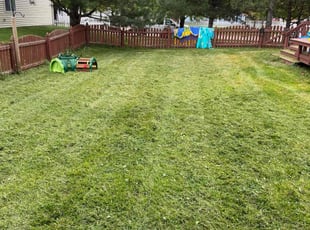 Mike M.'s lawn care services service result