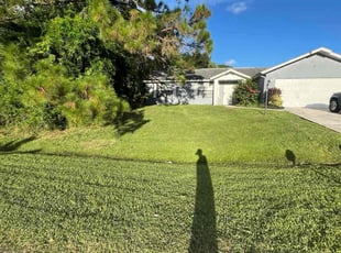 Mallory B.'s lawn maintenance service result