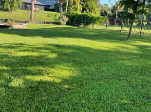 Jerome B.'s grass maintenance service result