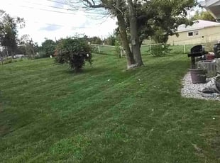 Bruce Y.'s grass maintenance service result