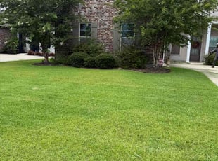 Stacey J.'s yard care service result