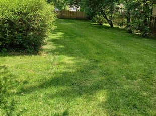 Jane D.'s grass cutting service result