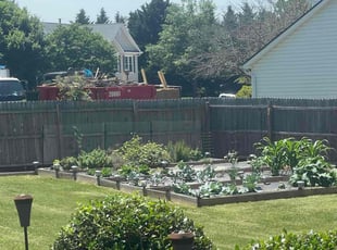 Susan S.'s lawn maintenance service result