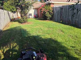 Phyllis S.'s lawn care service result