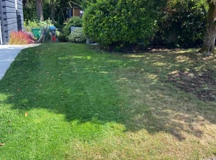 Frank W.'s lawn care services service result