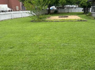 Lisa S.'s lawn service service result