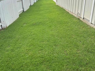 Sandra R.'s grass maintenance service result